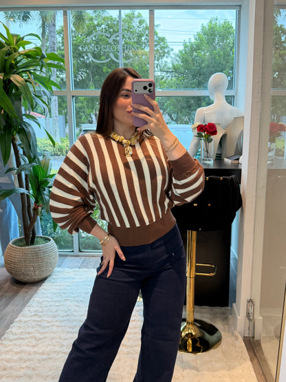 Brown Sweter