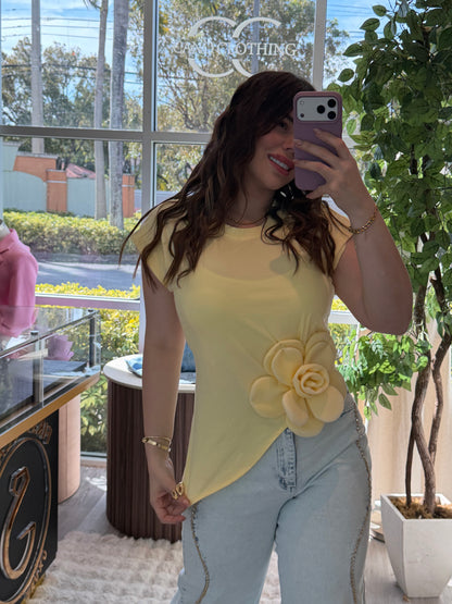 Orquídea top