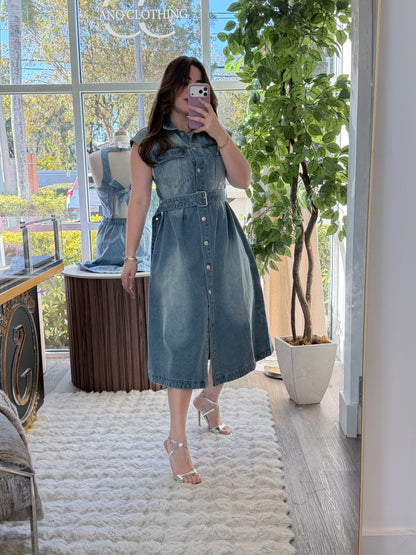 Christian D maxi dress