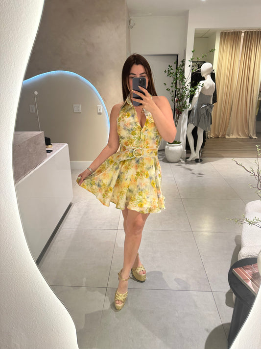 Francis Dress