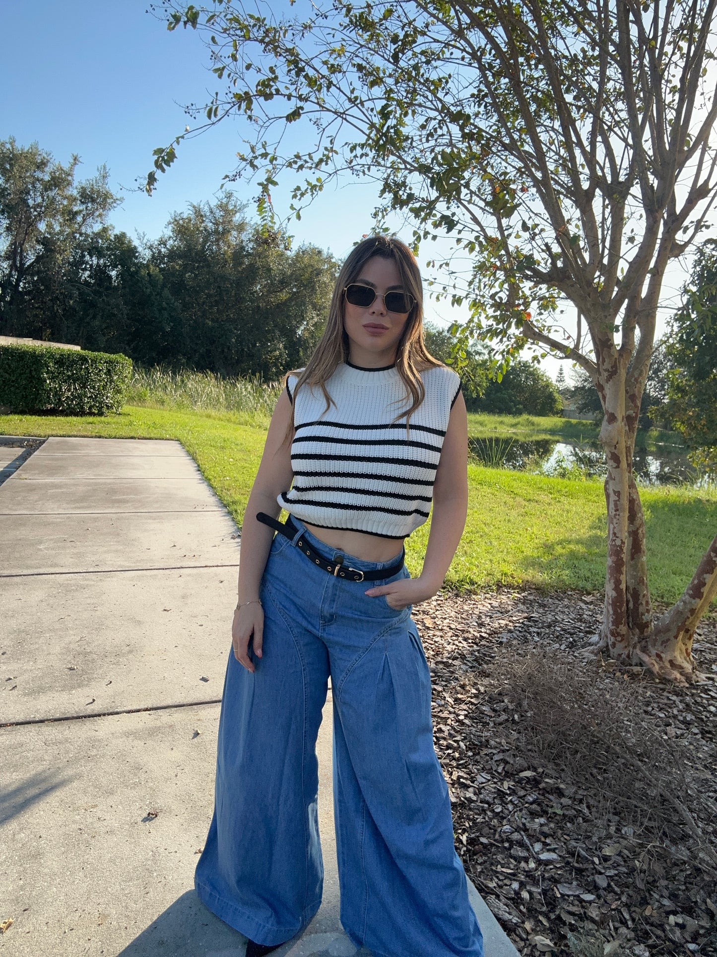 Anisa top