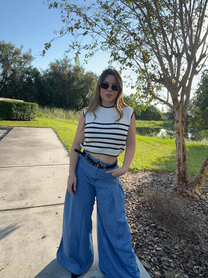 Anisa top