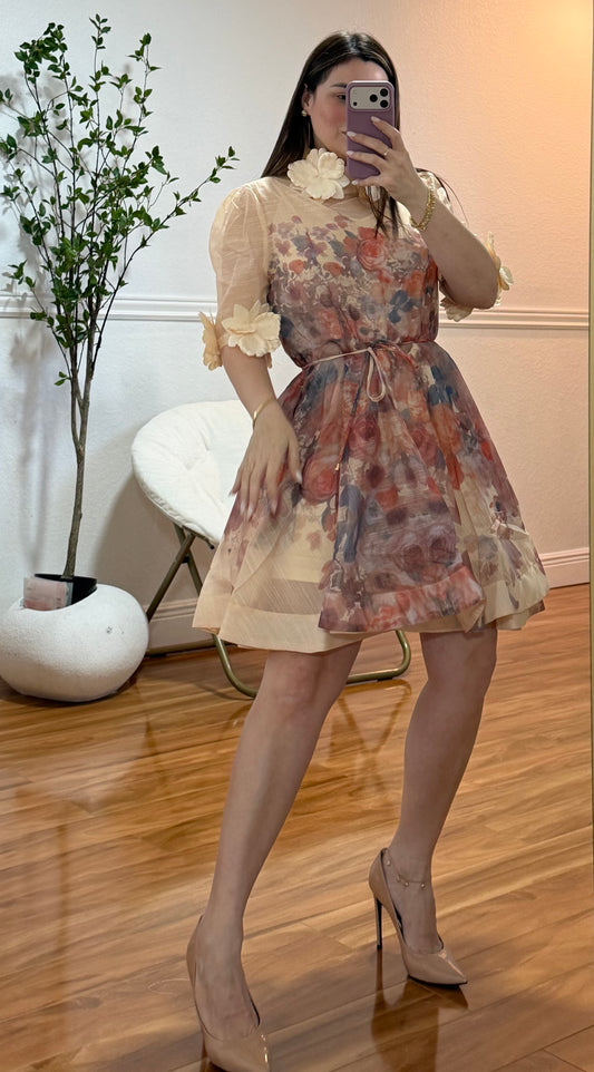 Paris Dress