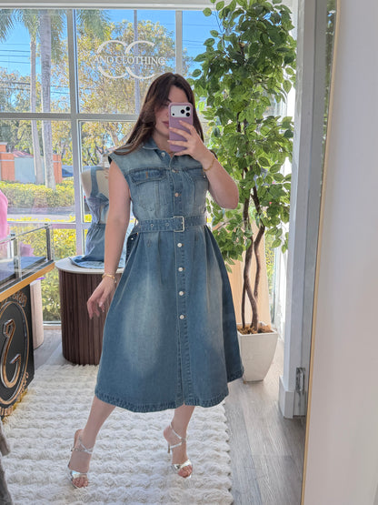 Christian D maxi dress