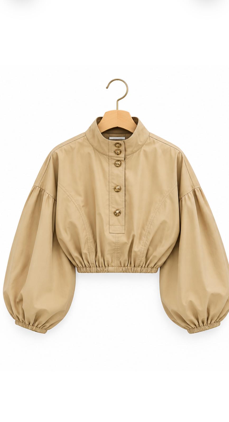 Balloon Sleeve Blouse